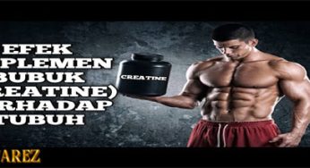 Suplemen Creatine, Panduan Latihan untuk Personal Training